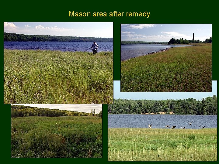 Mason area after remedy 