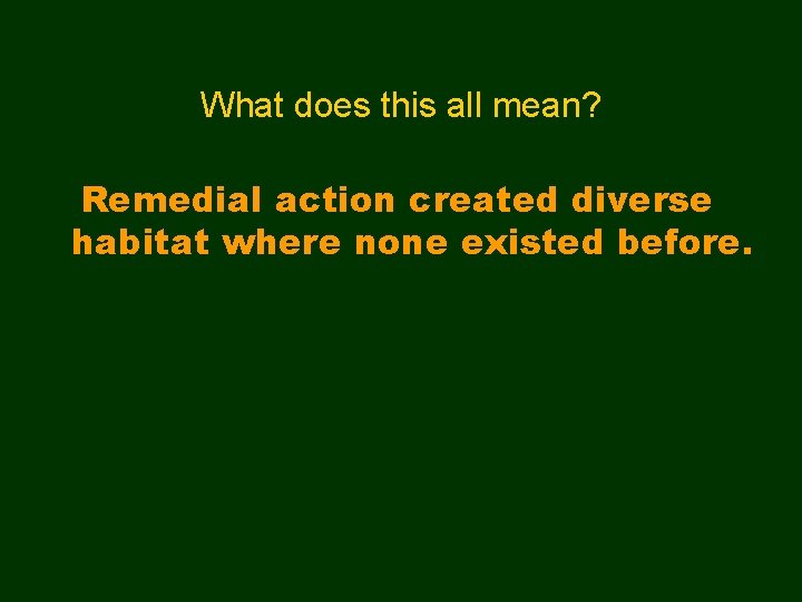 What does this all mean? Remedial action created diverse habitat where none existed before.