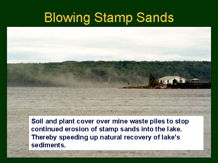 Blowing Stamp Sands Soil and plant cover mine waste piles to stop continued erosion