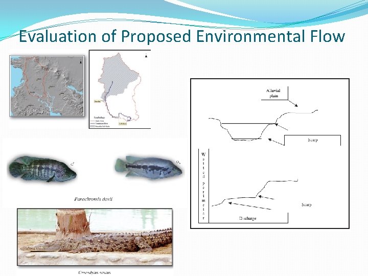 Evaluation of Proposed Environmental Flow 