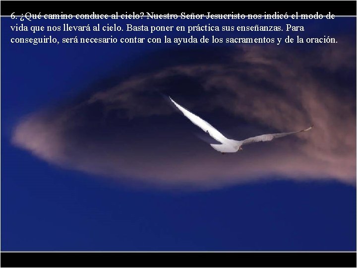 6. ¿Qué camino conduce al cielo? Nuestro Señor Jesucristo nos indicó el modo de