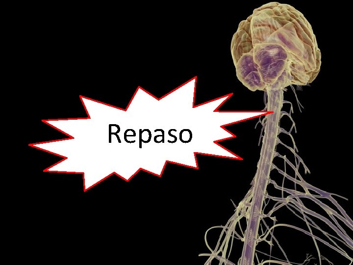 Repaso 