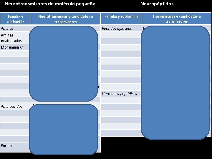 Neurotransmisores de molécula pequeña Familia y subfamilia Neurotransmisor y candidatos a transmisores Neuropéptidos Familia