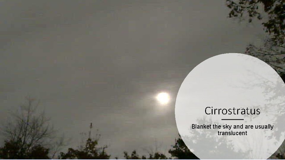 Cirrostratus Blanket the sky and are usually translucent 