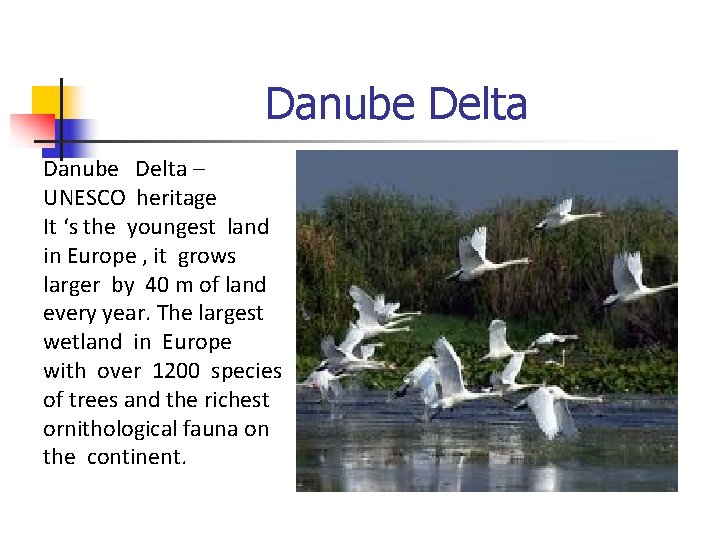 Danube Delta – UNESCO heritage It ‘s the youngest land in Europe , it