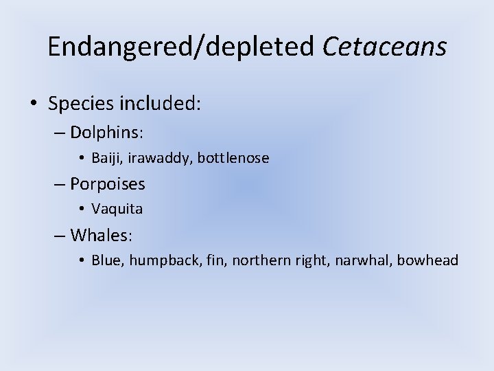 Endangered/depleted Cetaceans • Species included: – Dolphins: • Baiji, irawaddy, bottlenose – Porpoises •