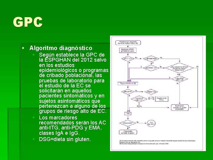 GPC § Algoritmo diagnóstico § Según establece la GPC de la ESPGHAN del 2012