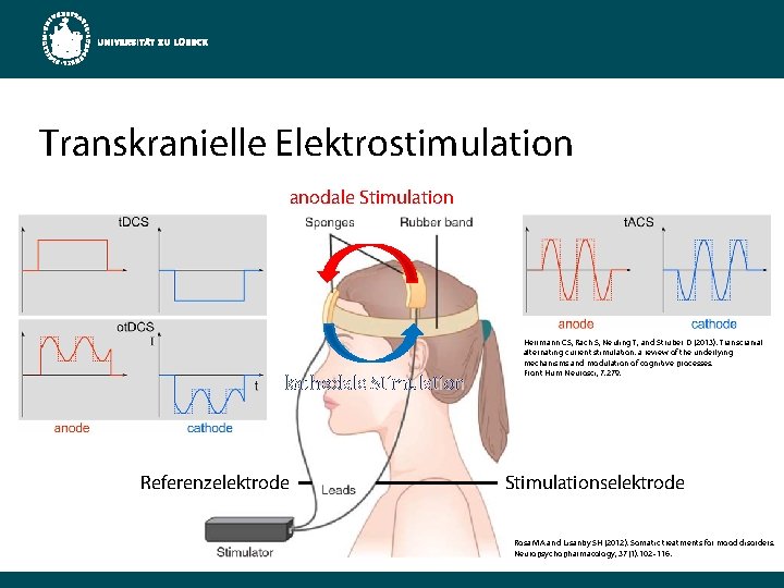 Transkranielle Elektrostimulation anodale Stimulation kathodale Stimulation Referenzelektrode Herrmann CS, Rach S, Neuling T, and
