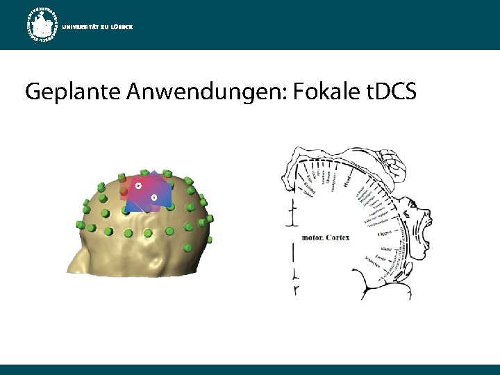 Geplante Anwendungen: Fokale t. DCS 