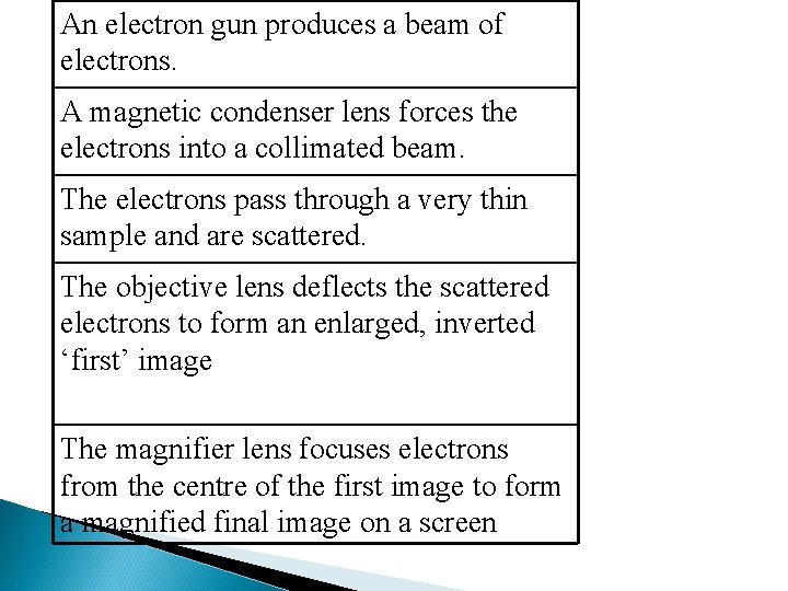 An electron gun produces a beam of electrons. A magnetic condenser lens forces the