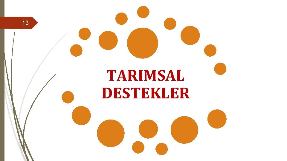 13 TARIMSAL DESTEKLER 