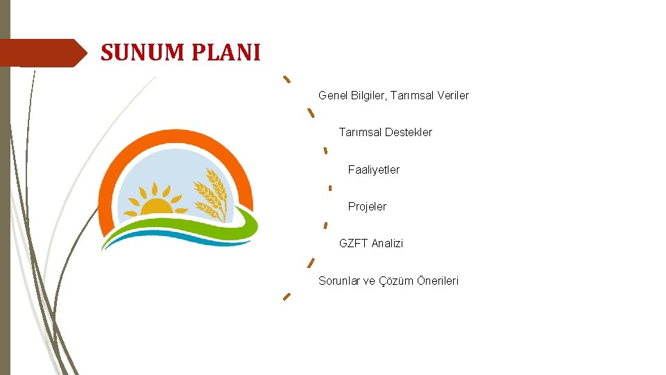 SUNUM PLANI Genel Bilgiler, Tarımsal Veriler Tarımsal Destekler Faaliyetler Projeler GZFT Analizi Sorunlar ve