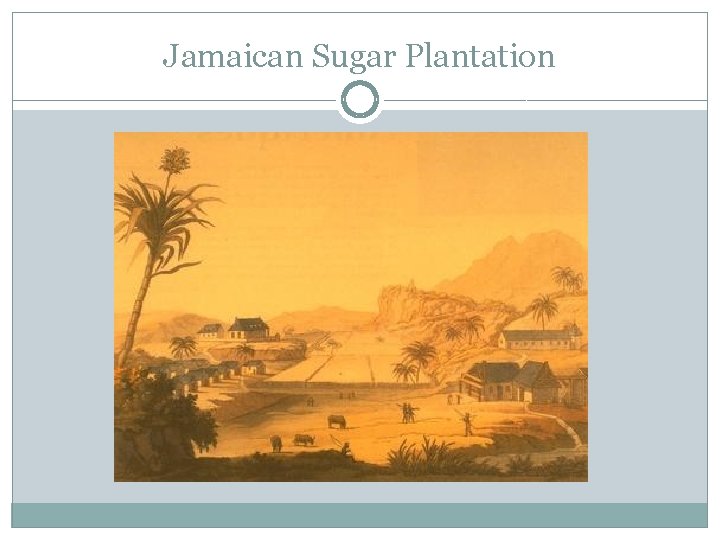 Jamaican Sugar Plantation 