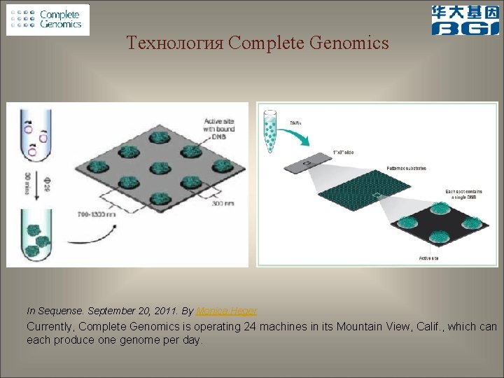 Технология Complete Genomics In Sequense. September 20, 2011. By Monica Heger Currently, Complete Genomics