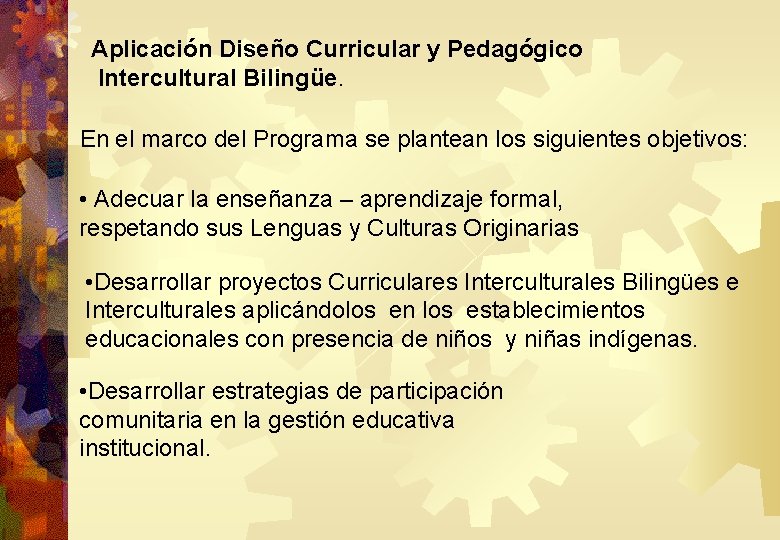 Aplicación Diseño Curricular y Pedagógico Intercultural Bilingüe. En el marco del Programa se plantean