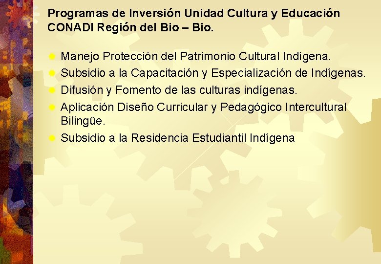 Programas de Inversión Unidad Cultura y Educación CONADI Región del Bio – Bio. ®