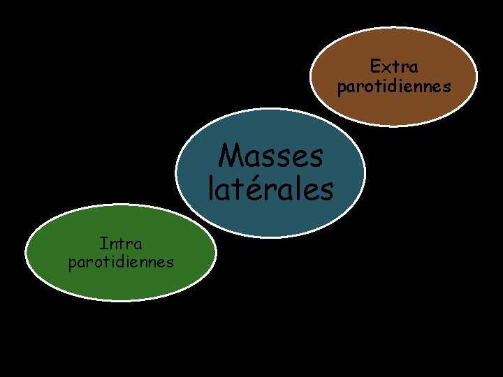 Extra parotidiennes Masses latérales Intra parotidiennes Extra parotidiennes Masses latérales Intra parotidiennes