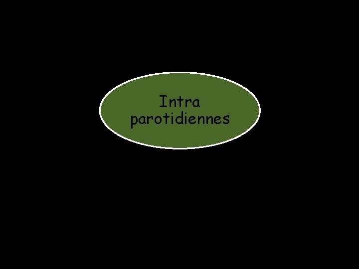 Intra parotidiennes Intra parotidiennes