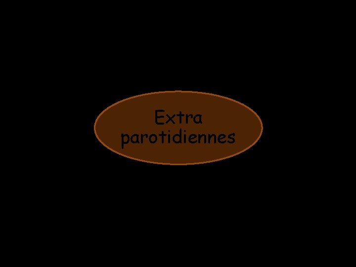 Extra parotidiennes Extra parotidiennes