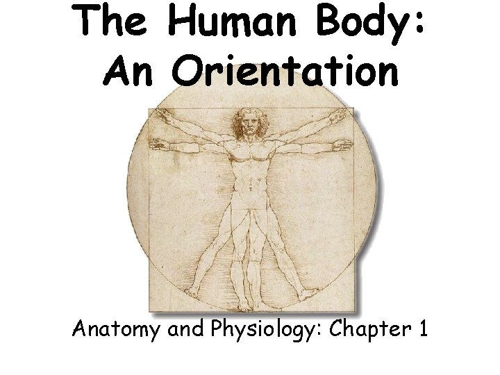 The Human Body: An Orientation Anatomy and Physiology: Chapter 1 