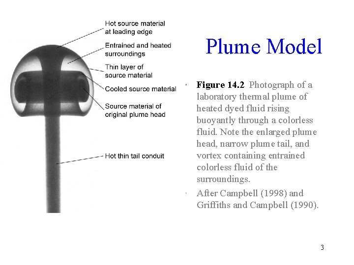 Plume Model • Figure 14. 2 Photograph of a laboratory thermal plume of heated