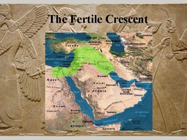 The Fertile Crescent 