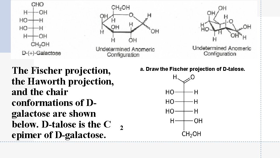 The Fischer projection, the Haworth projection, and the chair conformations of Dgalactose are shown