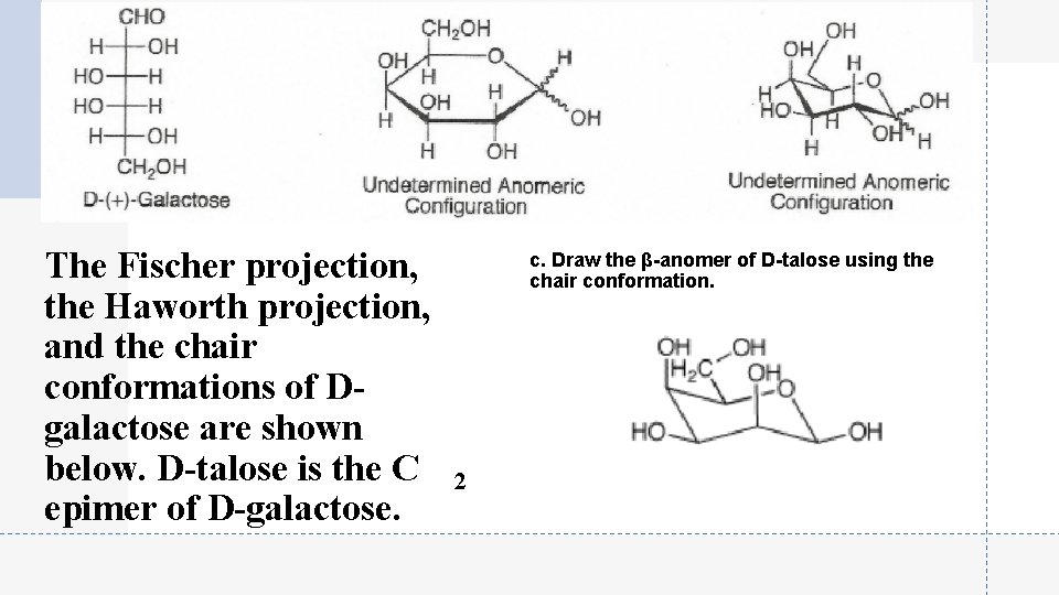 The Fischer projection, the Haworth projection, and the chair conformations of Dgalactose are shown