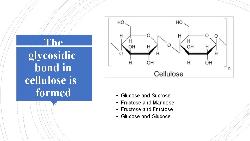 The glycosidic bond in cellulose is formed between: • • Glucose and Sucrose Fructose