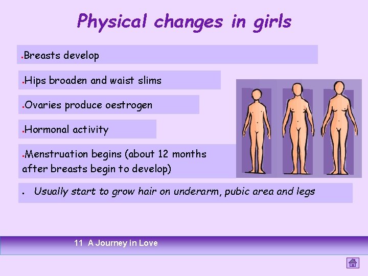Physical changes in girls Breasts develop ● Hips broaden and waist slims ● Ovaries Physical changes in girls Breasts develop ● Hips broaden and waist slims ● Ovaries
