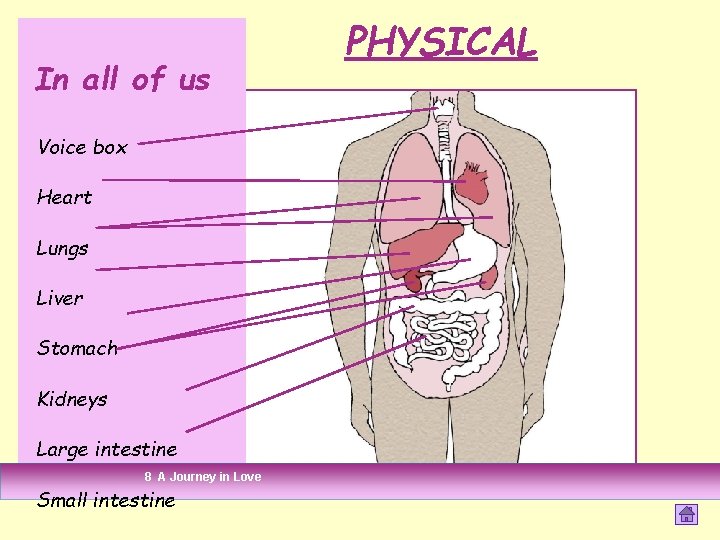 In all of us Voice box Heart Lungs Liver Stomach Kidneys Large intestine 8 In all of us Voice box Heart Lungs Liver Stomach Kidneys Large intestine 8