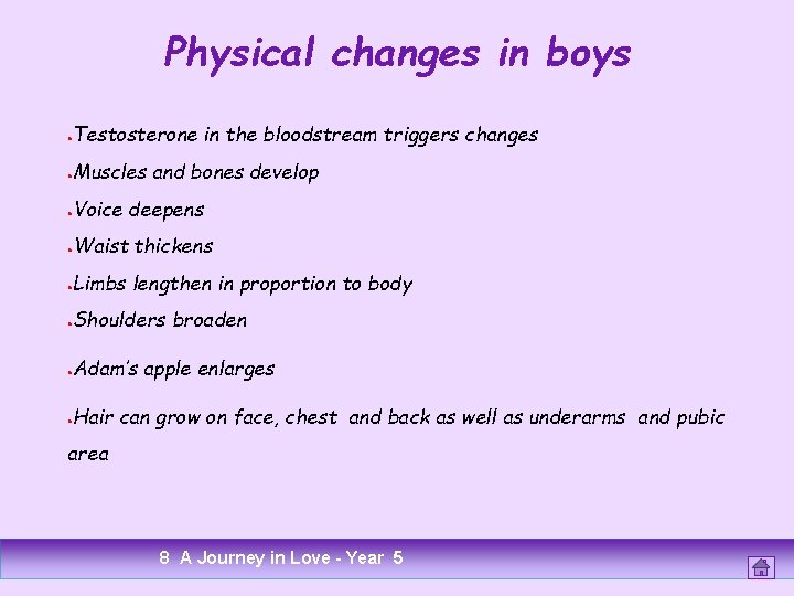 Physical changes in boys ● Testosterone in the bloodstream triggers changes ● Muscles and Physical changes in boys ● Testosterone in the bloodstream triggers changes ● Muscles and