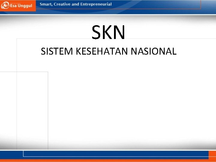 SKN SISTEM KESEHATAN NASIONAL 