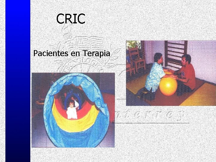 CRIC Pacientes en Terapia 