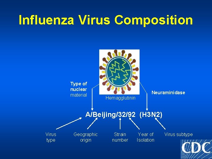 Influenza Virus Composition Type of nuclear material Neuraminidase Hemagglutinin A/Beijing/32/92 (H 3 N 2)
