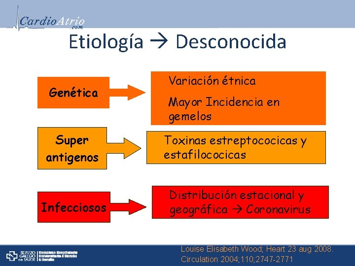 Etiología Desconocida Genética Super antigenos Infecciosos Variación étnica Mayor Incidencia en gemelos Toxinas estreptococicas