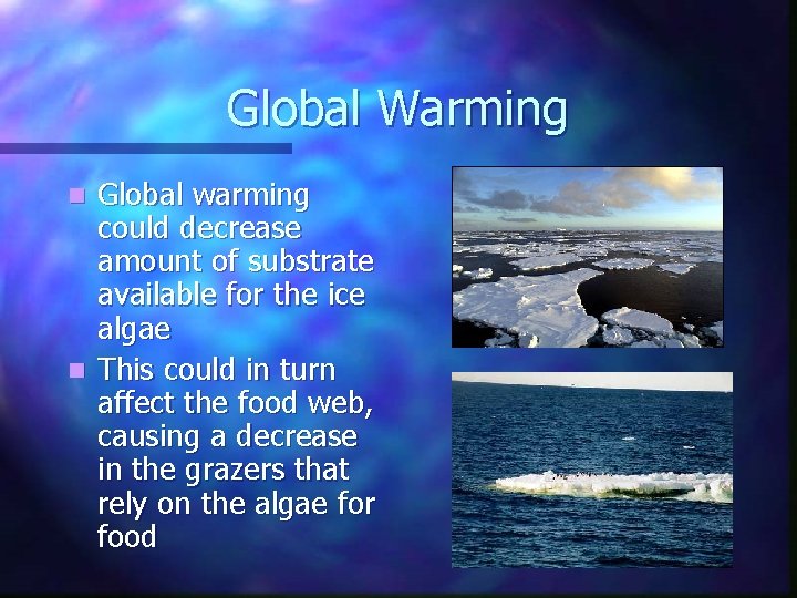 Global Warming Global warming could decrease amount of substrate available for the ice algae Global Warming Global warming could decrease amount of substrate available for the ice algae