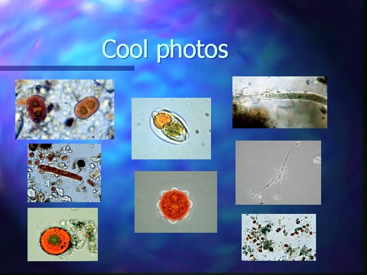 Cool photos Cool photos