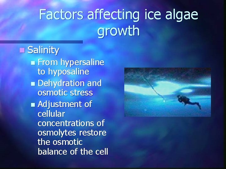 Factors affecting ice algae growth n Salinity From hypersaline to hyposaline n Dehydration and Factors affecting ice algae growth n Salinity From hypersaline to hyposaline n Dehydration and