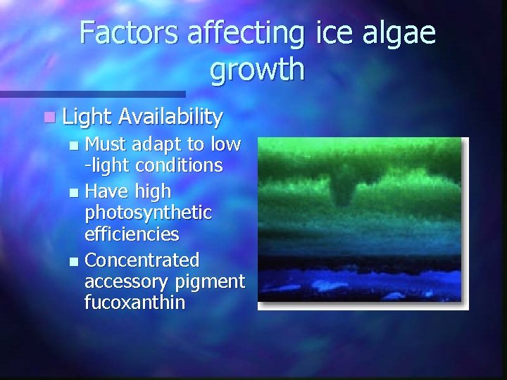 Factors affecting ice algae growth n Light Availability Must adapt to low -light conditions Factors affecting ice algae growth n Light Availability Must adapt to low -light conditions