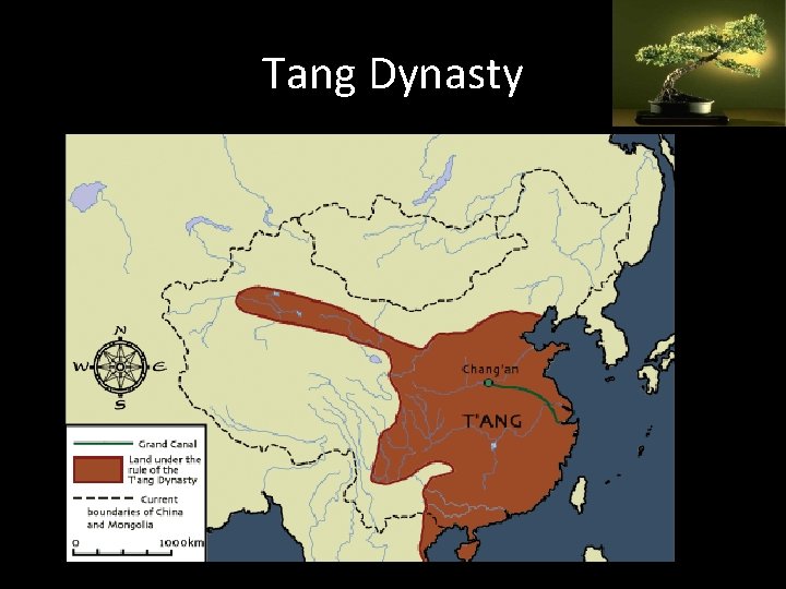 Tang Dynasty 