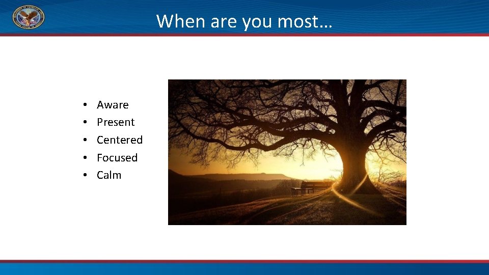 When are you most… • • • Aware Present Centered Focused Calm 