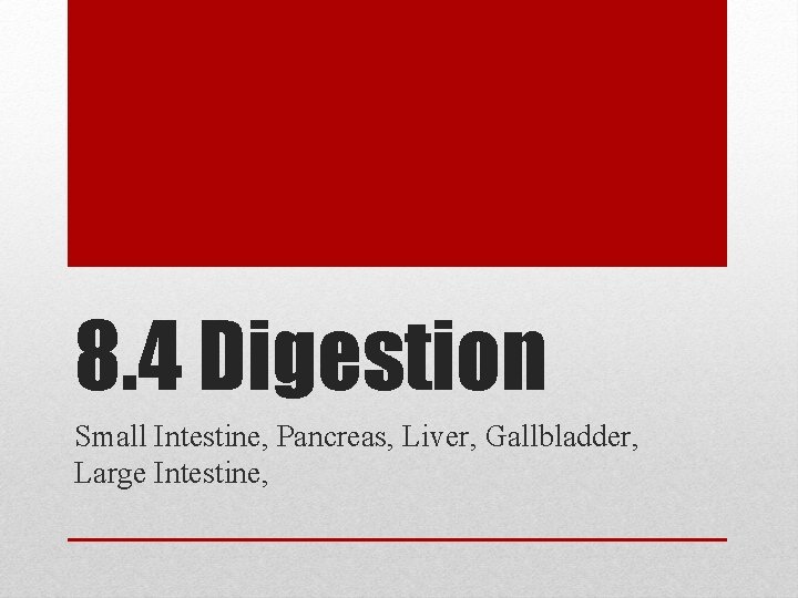 8. 4 Digestion Small Intestine, Pancreas, Liver, Gallbladder, Large Intestine, 