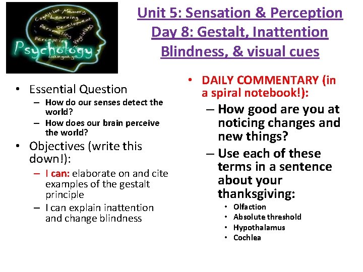 Unit 5: Sensation & Perception Day 8: Gestalt, Inattention Blindness, & visual cues •