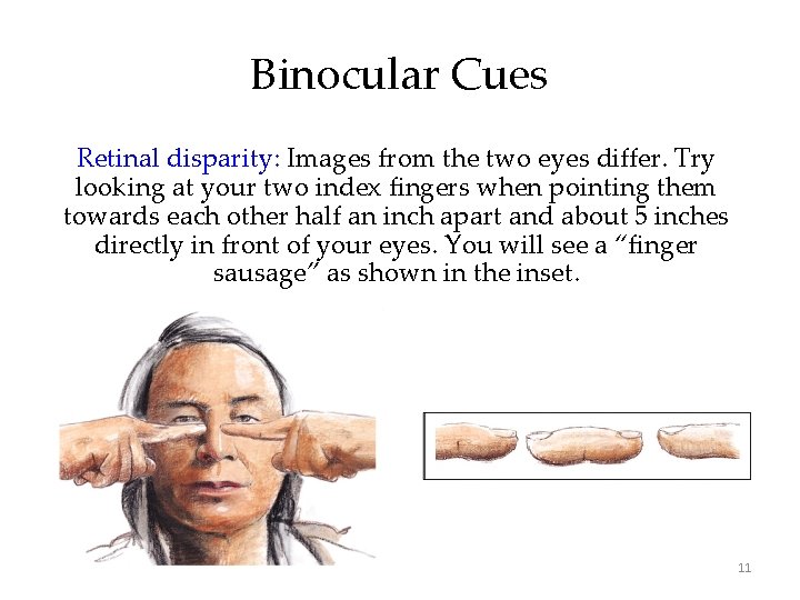 Binocular Cues Retinal disparity: Images from the two eyes differ. Try looking at your