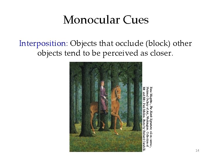 Monocular Cues Interposition: Objects that occlude (block) other objects tend to be perceived as