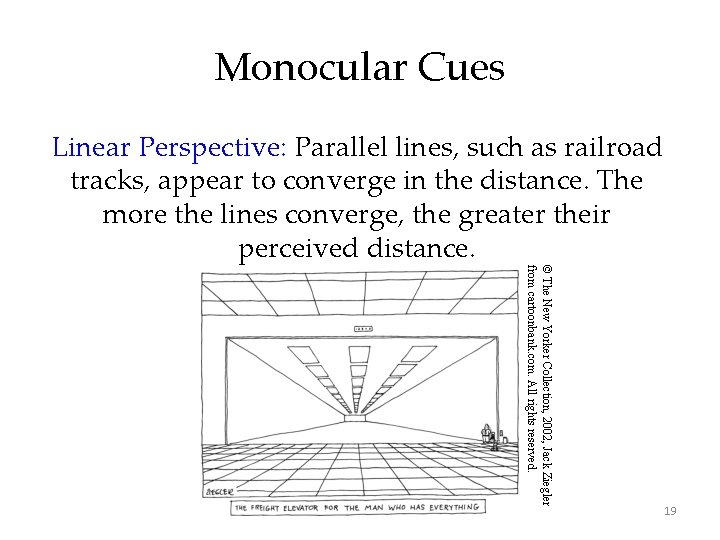 Monocular Cues Linear Perspective: Parallel lines, such as railroad tracks, appear to converge in