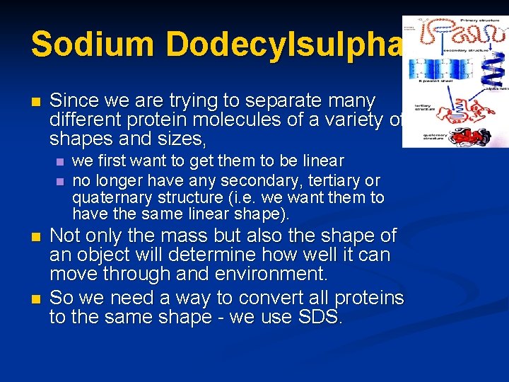 Sodium Dodecylsulphate n Since we are trying to separate many different protein molecules of
