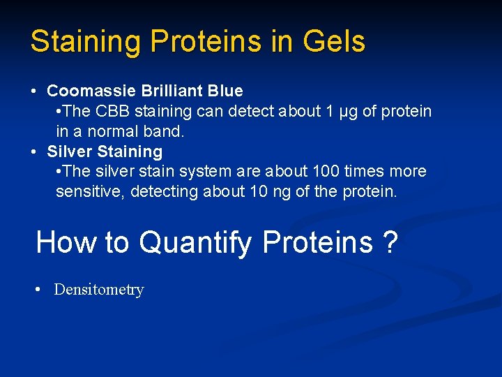 Staining Proteins in Gels • Coomassie Brilliant Blue • The CBB staining can detect