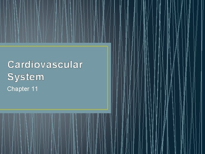 Cardiovascular System Chapter 11 